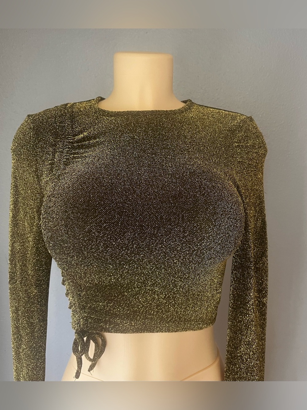 wild fable Gold Metallic Long-Sleeve Cropped Top New never worn